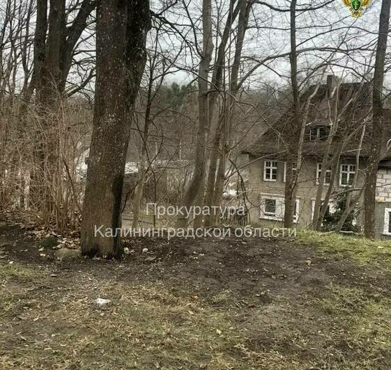 В Домново ликвидировали незаконную свалку у объекта культурного наследия (фото) - Новости Калининграда | Фото: прокуратура Калининградской области