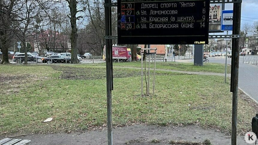 В Калининграде ещё на 50 остановках появятся табло с онлайн-отслеживанием транспорта, к старым у горожан остаются вопросы - Новости Калининграда | Фото: «Клопс»