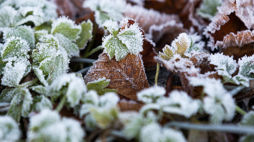 Калининградцев ждёт ещё одна подмороженная ночь: прогноз погоды на 11 апреля - Новости Калининграда | Фото: Александр Подгорчук / Архив «Клопс»