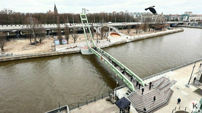 На Философском уже назначают свидания: как новый мост на остров Канта вписался в жизнь калининградцев (фото) - Новости Калининграда | Фото: Александр Подгорчук / «Клопс»