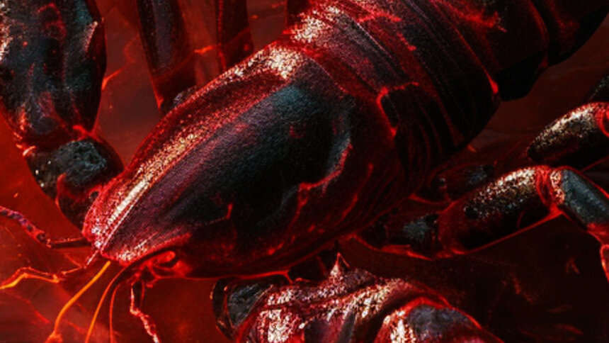 Весы вспомнят о друзьях, а Скорпионы — о карьере: гороскоп на выходные - Новости Калининграда