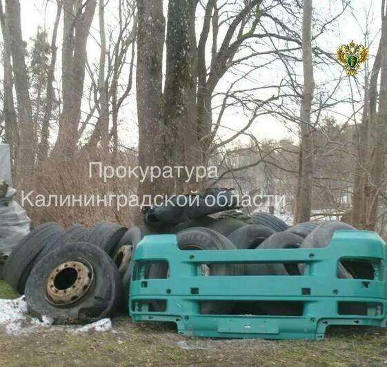 В Домново ликвидировали незаконную свалку у объекта культурного наследия (фото) - Новости Калининграда | Фото: прокуратура Калининградской области