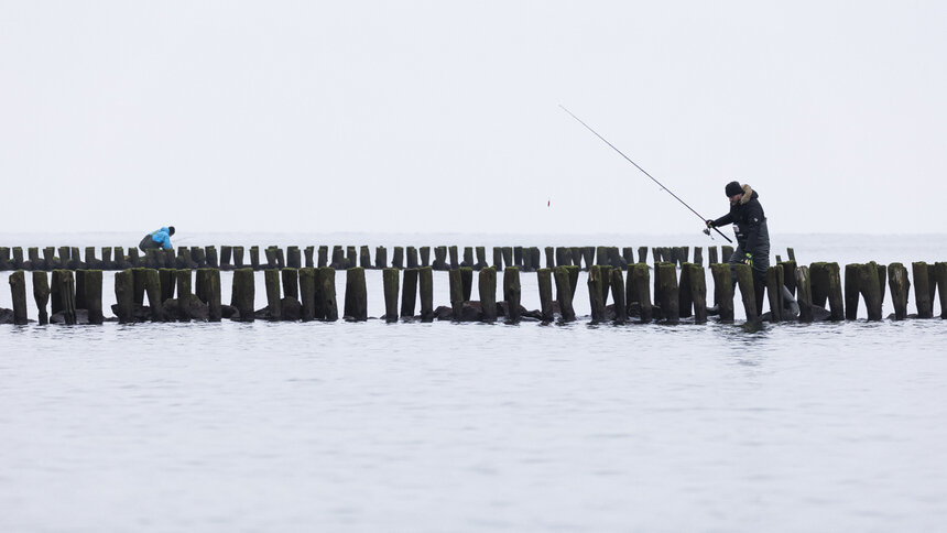 Калининградцам на 2 месяца запретят ловить рыбу и ходить на прогулочных судах - Новости Калининграда | Фото: Александр Подгорчук / Архив «Клопс»