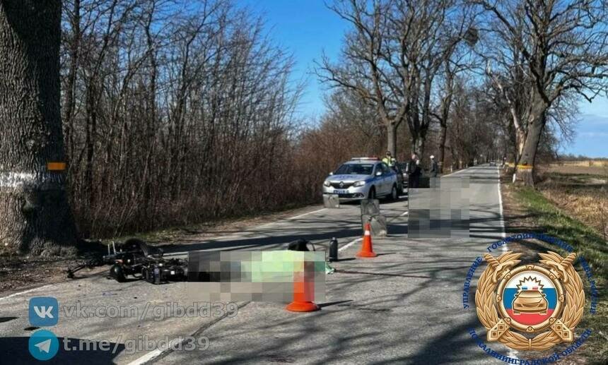 Под Гурьевском мужчина на электровелосипеде врезался в дерево и погиб - Новости Калининграда | Фото: канал Госавтоинспекции Калининградской области / Телеграм
