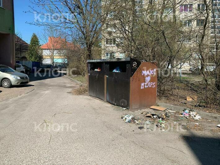 «Не просто так ведь загорелась»: жителей двора на улице Леонова довела до предела помойка посреди дороги (фото) - Новости Калининграда | Фото: очевидцы