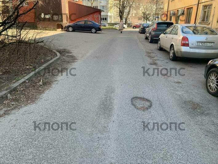 «Не просто так ведь загорелась»: жителей двора на улице Леонова довела до предела помойка посреди дороги (фото) - Новости Калининграда | Фото: очевидцы