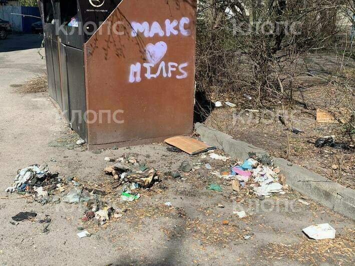 «Не просто так ведь загорелась»: жителей двора на улице Леонова довела до предела помойка посреди дороги (фото) - Новости Калининграда | Фото: очевидцы