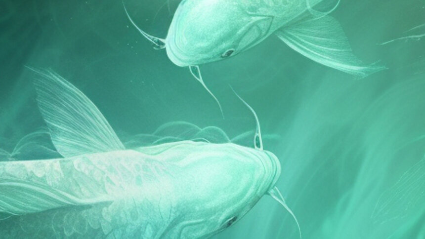 Рыбы окунутся в мечты, а Весы захотят гармонии: гороскоп на выходные - Новости Калининграда