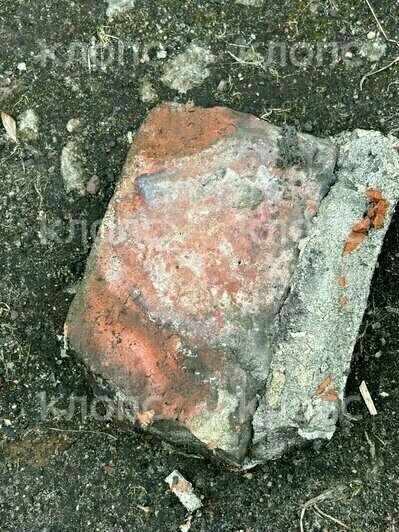 В Московском районе Калининграда ворона сбросила с крыши кирпич на играющего трёхлетку  (видео)   - Новости Калининграда | Фото: Елена