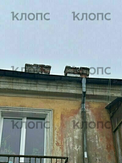 В Московском районе Калининграда ворона сбросила с крыши кирпич на играющего трёхлетку  (видео)   - Новости Калининграда | Фото: Елена