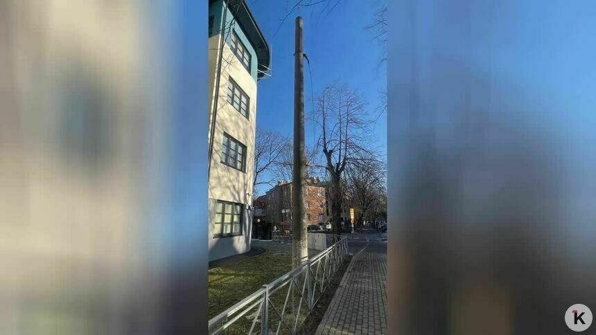 В Калининграде ищут владельца старого бетонного столба, который торчит на территории поликлиники (фото)   - Новости Калининграда | Фото: Ольга Л.
