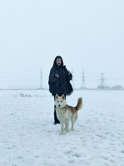 Калининградские художники откроют выставку с портретами бездомных собак, чтобы помочь им найти новых хозяев - Новости Калининграда | Фото: Николай Порчин