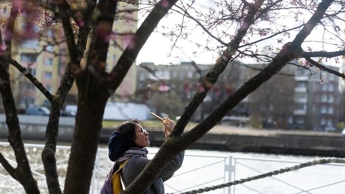 «Пока всего одна бронь»: будет ли удачным новый турсезон для владельцев жилья и что хотят увидеть гости в Калининграде - Новости Калининграда | Фото: Александр Подгорчук