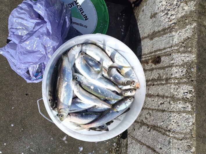 Три музея, форт, море, концерт и спектакль: семья из Омска рассказала, что можно успеть в Калининграде за пять дней - Новости Калининграда | Фото: Юлия