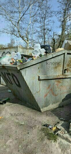 Легендарная мусорка на Минской осталась без внимания: 4 улицы в Калининграде с «дизайном» из переполненных баков   - Новости Калининграда | Фото: очевидец