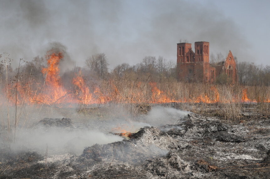 За поджог травы предусмотрена ответственность — от штрафов до уголовной | Фото: архив "СК"