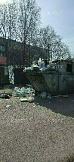 Легендарная мусорка на Минской осталась без внимания: 4 улицы в Калининграде с «дизайном» из переполненных баков   - Новости Калининграда | Фото: очевидец