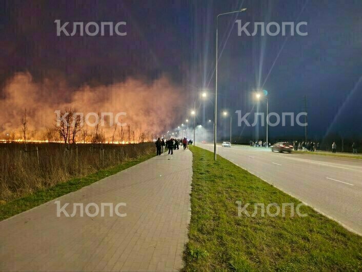 На окраине Калининграда пожарные отодвинули стену огня от жилых домов - Новости Калининграда | Фото очевидцев