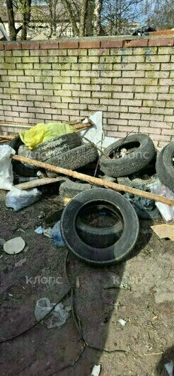 Легендарная мусорка на Минской осталась без внимания: 4 улицы в Калининграде с «дизайном» из переполненных баков   - Новости Калининграда | Фото: очевидец