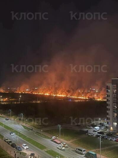 На окраине Калининграда пожарные отодвинули стену огня от жилых домов - Новости Калининграда | Фото очевидцев