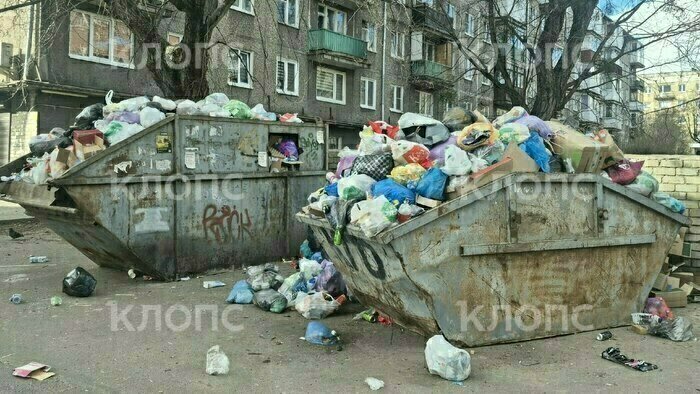 Легендарная мусорка на Минской осталась без внимания: 4 улицы в Калининграде с «дизайном» из переполненных баков   - Новости Калининграда | Фото: Анна Рахманова