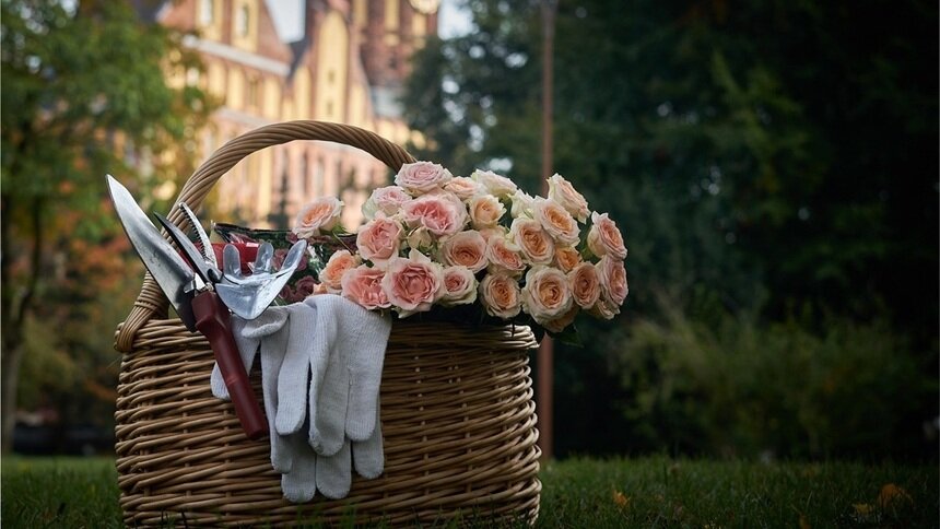 Субботник под винил: Остров Канта встречается с городом 18 апреля - Новости Калининграда