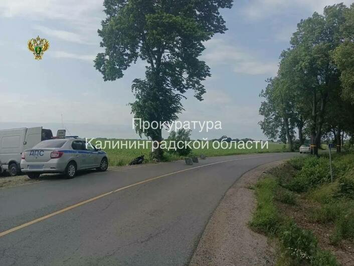 В Гурьевске будут судить парня, который без прав катал на мотоцикле 14-летнюю подругу и врезался в дерево - Новости Калининграда | Фото: канал прокуратуры Калининградской области / Телеграм