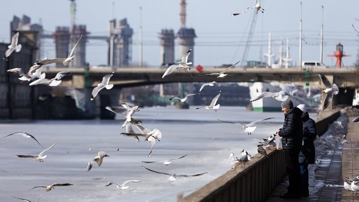 «Пока всего одна бронь»: будет ли удачным новый турсезон для владельцев жилья и что хотят увидеть гости в Калининграде - Новости Калининграда | Фото: Александр Подгорчук