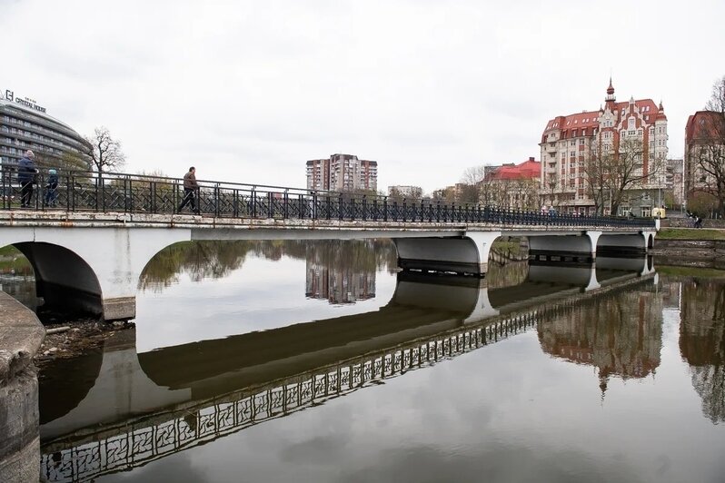 Показалось дно и залежи ила: в Калининграде сильно обмелело Нижнее озеро (фото)   - Новости Калининграда | Фото: Александр Подгорчук / «Клопс»
