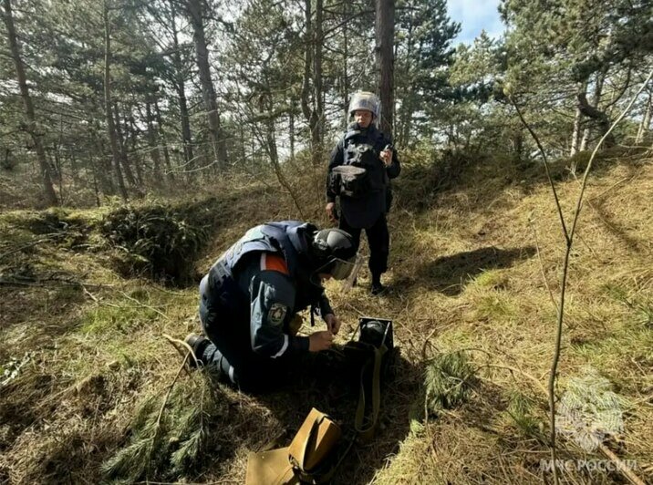 На Балтийской косе уничтожили авиабомбу и несколько снарядов времён войны (фото) - Новости Калининграда | Фото: МЧС региона
