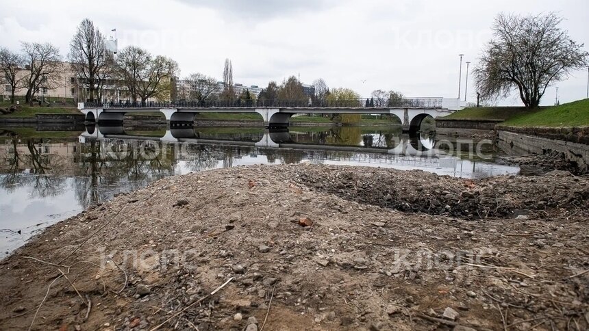 Показалось дно и залежи ила: в Калининграде сильно обмелело Нижнее озеро (фото)   - Новости Калининграда | Фото: Александр Подгорчук / «Клопс»