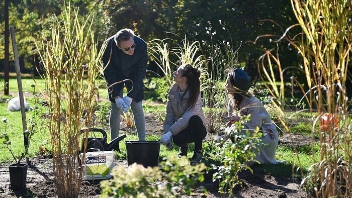 Субботник под винил: Остров Канта встречается с городом 18 апреля - Новости Калининграда