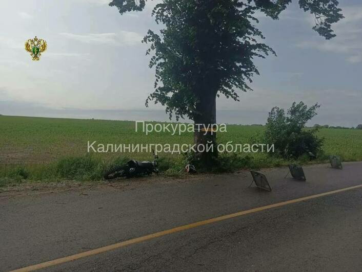 В Гурьевске будут судить парня, который без прав катал на мотоцикле 14-летнюю подругу и врезался в дерево - Новости Калининграда | Фото: канал прокуратуры Калининградской области / Телеграм