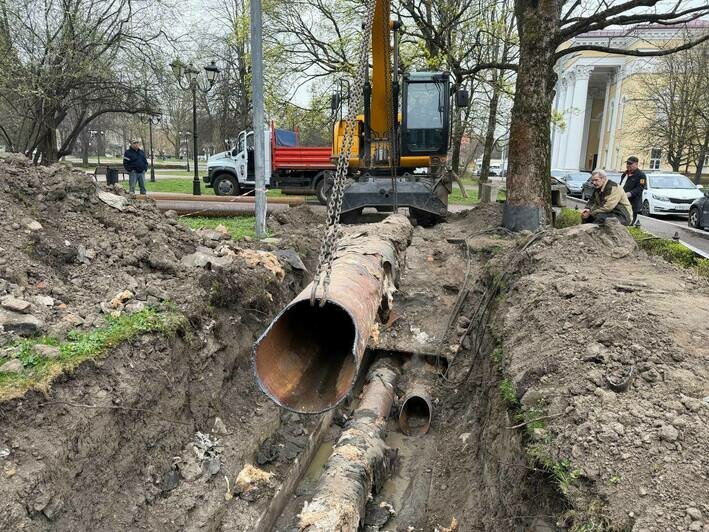 В Калининграде в сквере у драмтеатра из-за ремонта трубы разрыли часть газона (фото) - Новости Калининграда | Фото: канал МП «Калининградтеплосеть» / Телеграм