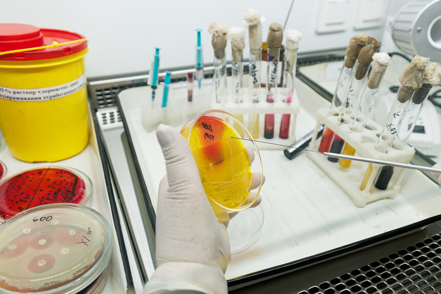 15 апреля отмечается Международный день специалиста по лабораторной диагностике | Фото: Александр Мелехов