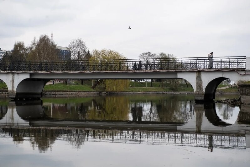 Показалось дно и залежи ила: в Калининграде сильно обмелело Нижнее озеро (фото)   - Новости Калининграда | Фото: Александр Подгорчук / «Клопс»