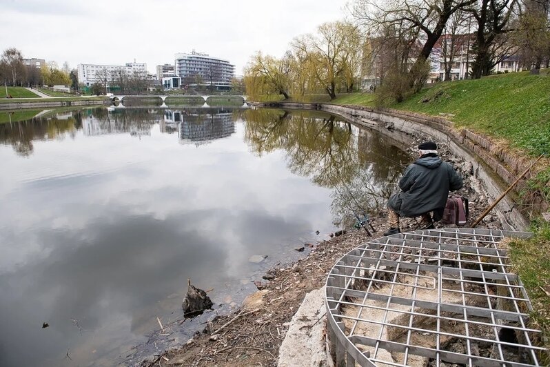 Показалось дно и залежи ила: в Калининграде сильно обмелело Нижнее озеро (фото)   - Новости Калининграда | Фото: Александр Подгорчук / «Клопс»