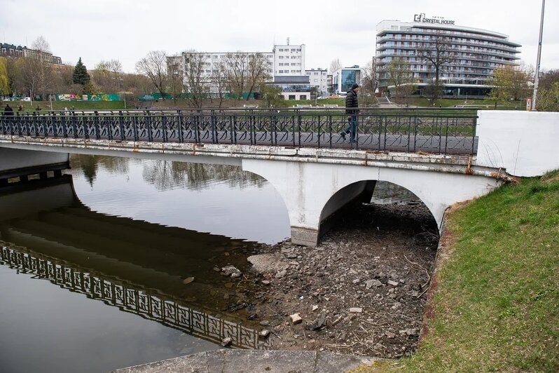 Показалось дно и залежи ила: в Калининграде сильно обмелело Нижнее озеро (фото)   - Новости Калининграда | Фото: Александр Подгорчук / «Клопс»