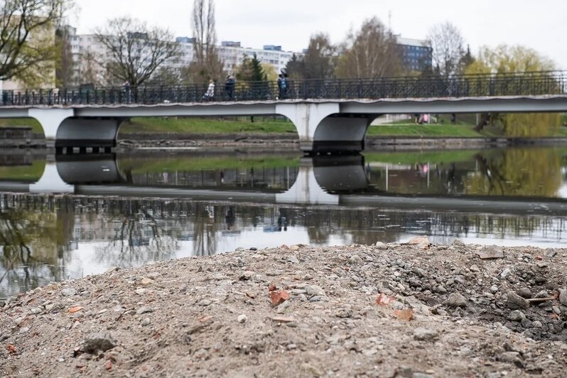 Показалось дно и залежи ила: в Калининграде сильно обмелело Нижнее озеро (фото)   - Новости Калининграда | Фото: Александр Подгорчук / «Клопс»