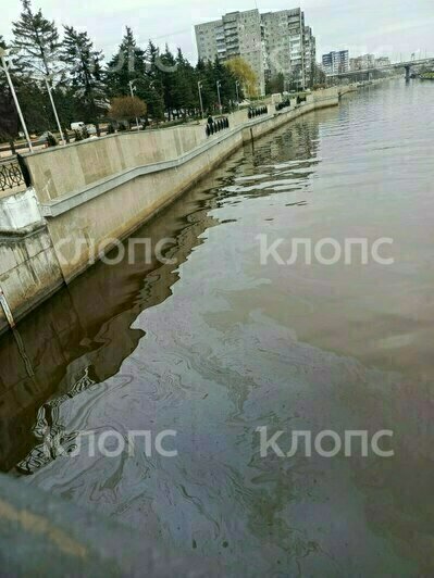 «Рыбаки даже не удивились»: в Калининграде Преголя покрылась радужными маслянистыми разводами (фото)   - Новости Калининграда | Фото: Надежда