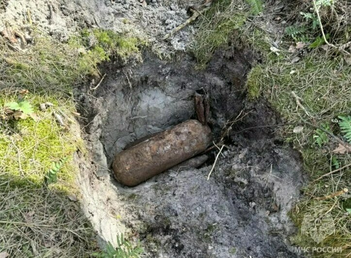 На Балтийской косе уничтожили авиабомбу и несколько снарядов времён войны (фото) - Новости Калининграда | Фото: МЧС региона