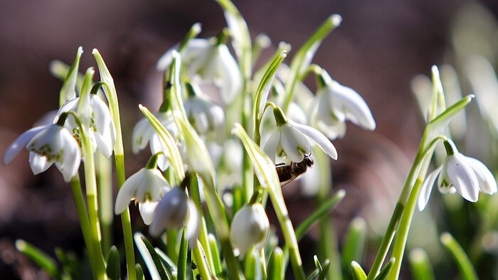 «День селёдки», «Библионочь» и праздник на пивоварне: 7 бесплатных событий для тех, кто не хочет сидеть дома в выходные - Новости Калининграда | Фото: архив «Клопс»