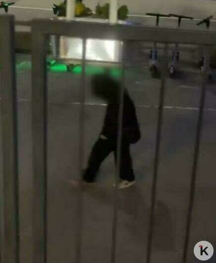 «Дети не в себе!»: два хулигана терроризируют суши-бары в центре Калининграда (видео)  - Новости Калининграда | Скриншот видео: Диана