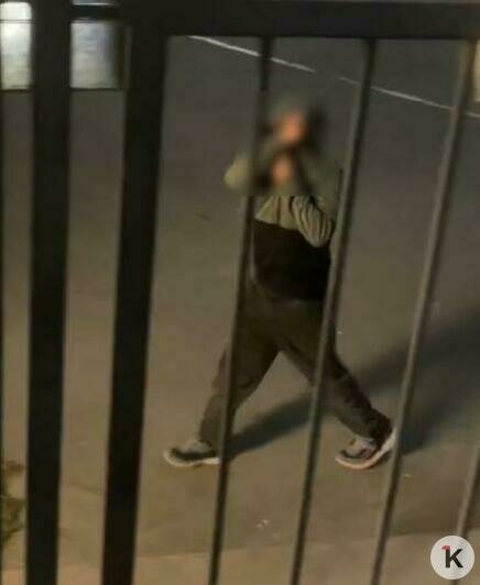 «Дети не в себе!»: два хулигана терроризируют суши-бары в центре Калининграда (видео)  - Новости Калининграда | Скриншот видео: Диана