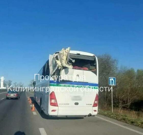 Автобус проехал на красный: подробности ДТП с автокраном в Калининграде - Новости Калининграда | Фото: прокуратура Калининградской области