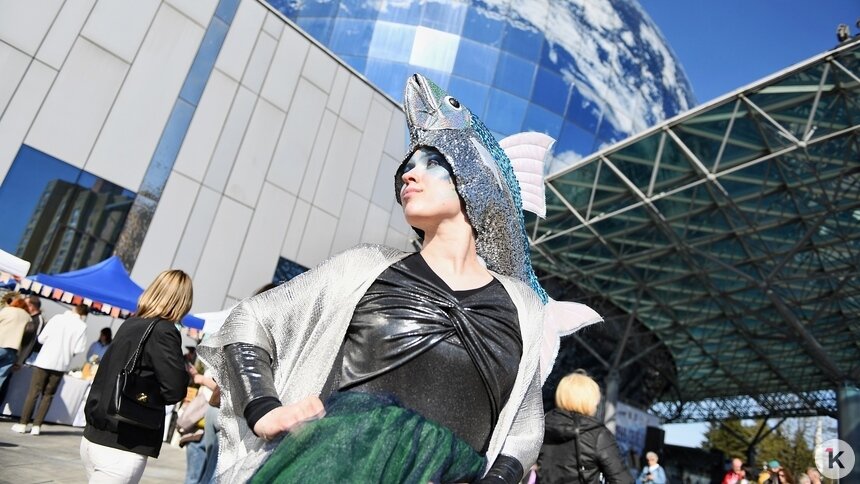 На «Дне селёдки» в Калининграде собрались 60 тысяч любителей рыбы, солнца, музыки и морских баек (фоторепортаж) - Новости Калининграда | Фото: Александр Подгорчук / «Клопс»