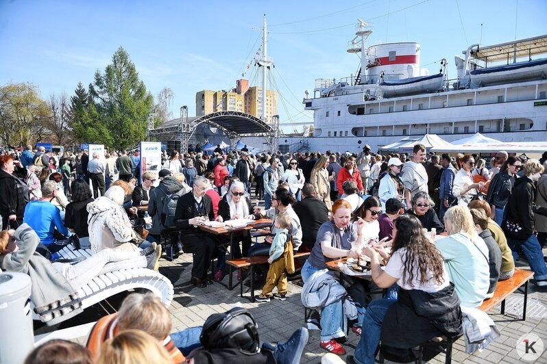 На «Дне селёдки» в Калининграде собрались 60 тысяч любителей рыбы, солнца, музыки и морских баек (фоторепортаж) - Новости Калининграда | Фото: Александр Подгорчук / «Клопс»