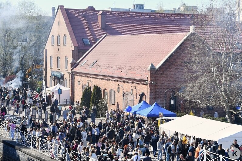 На «Дне селёдки» в Калининграде собрались 60 тысяч любителей рыбы, солнца, музыки и морских баек (фоторепортаж) - Новости Калининграда | Фото: Александр Подгорчук / «Клопс»