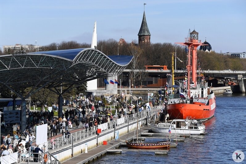 На «Дне селёдки» в Калининграде собрались 60 тысяч любителей рыбы, солнца, музыки и морских баек (фоторепортаж) - Новости Калининграда | Фото: Александр Подгорчук / «Клопс»