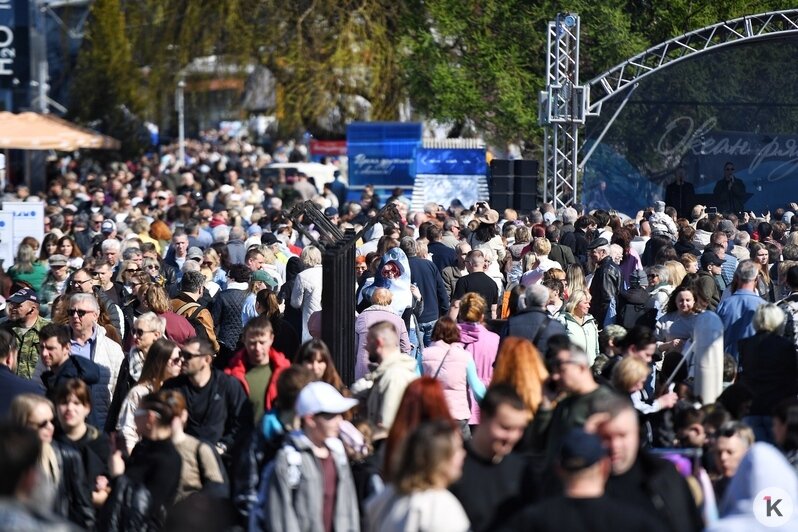 На «Дне селёдки» в Калининграде собрались 60 тысяч любителей рыбы, солнца, музыки и морских баек (фоторепортаж) - Новости Калининграда | Фото: Александр Подгорчук / «Клопс»